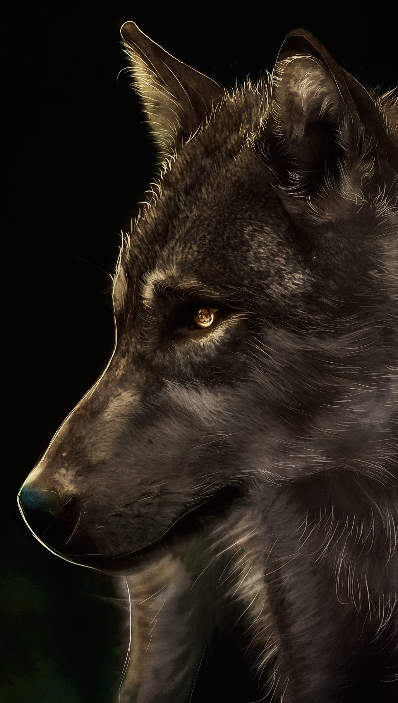 Pintura de Lobo en fondo negro Fondo de pantalla 4k Ultra HD ID:3013
