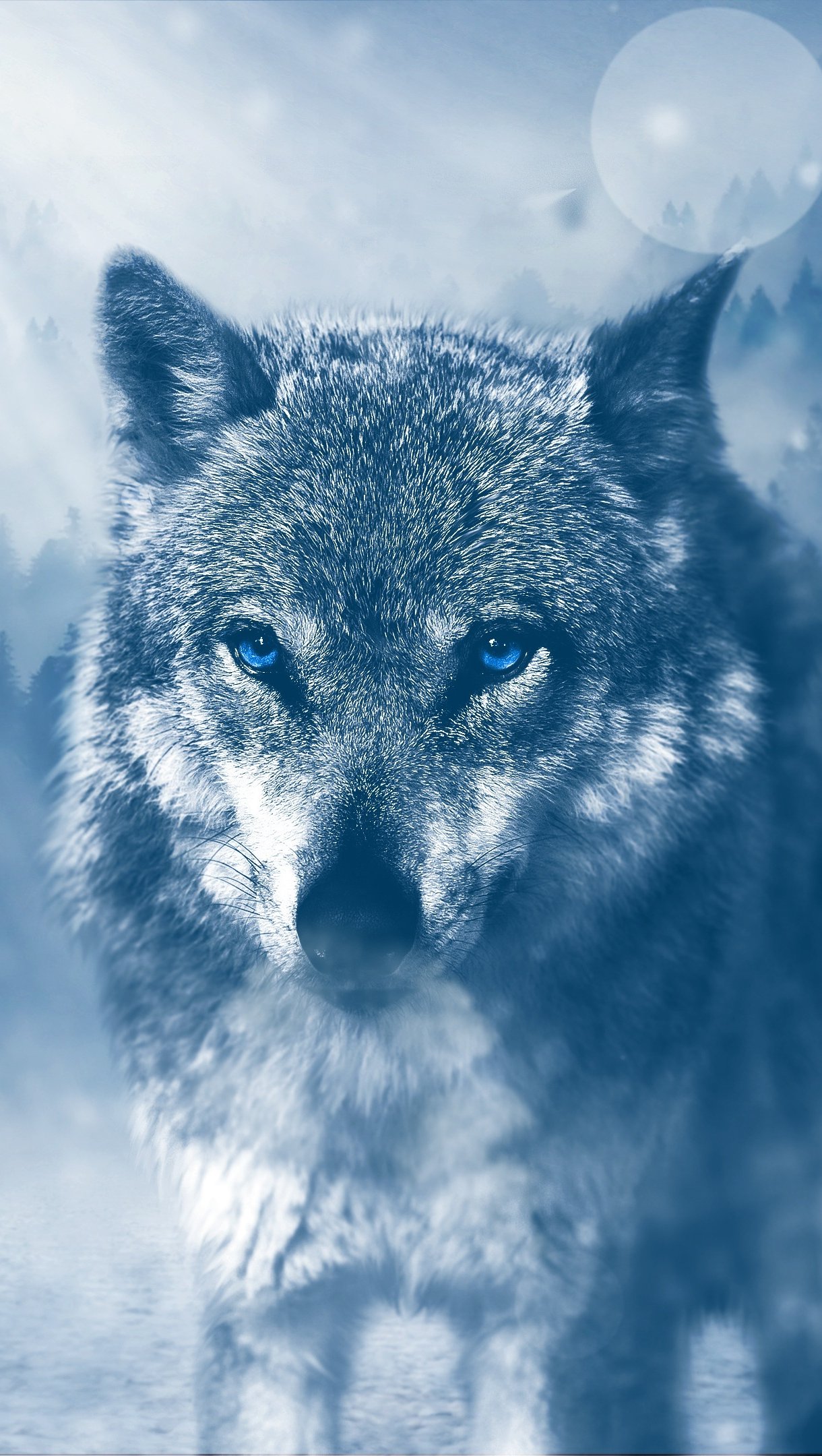 Lobo de ojos azules pantalla 4k HD ID:3016