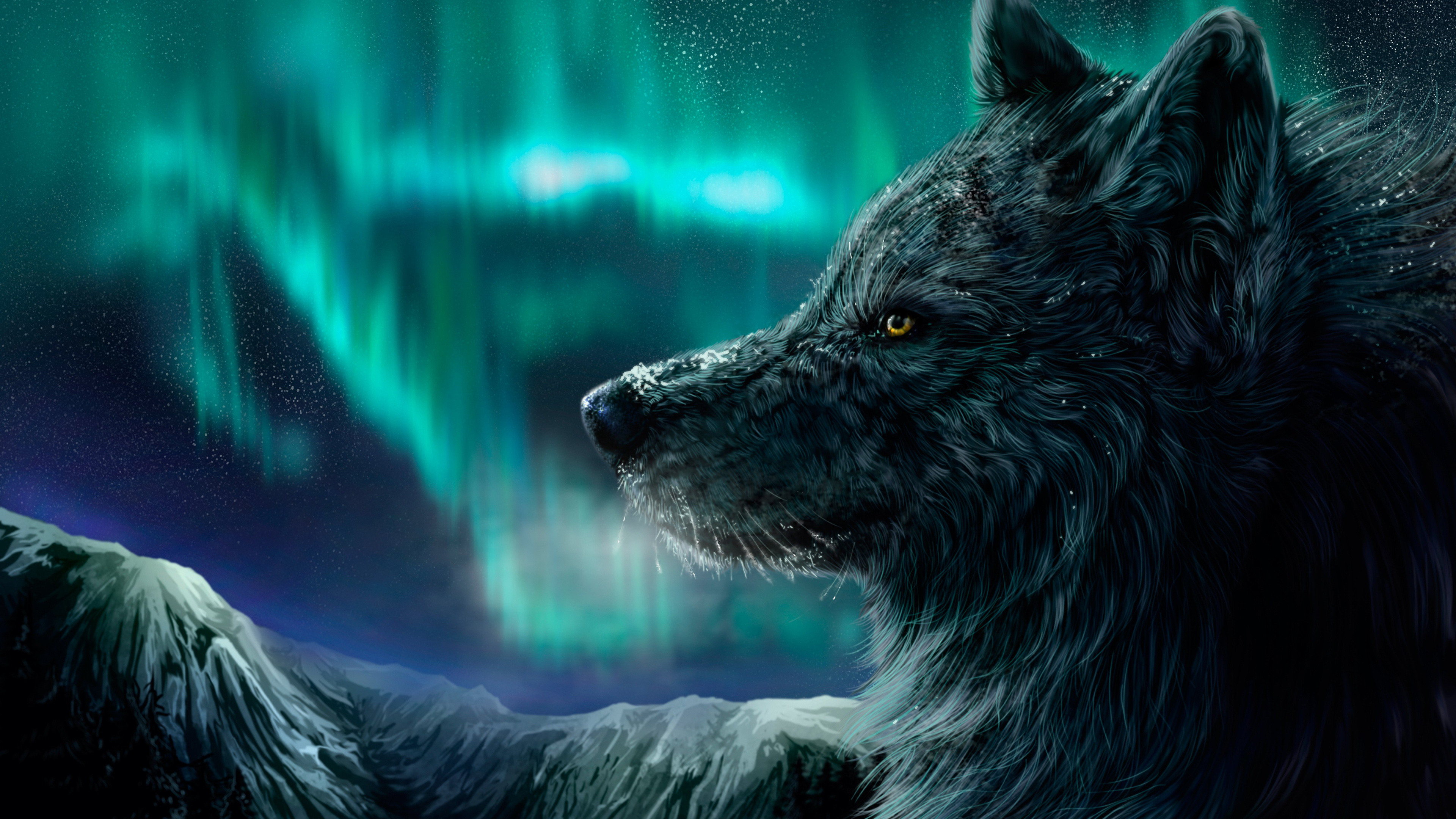 Lobo con aurora polar de fondo Fondo de pantalla 4k Ultra HD ID:6837