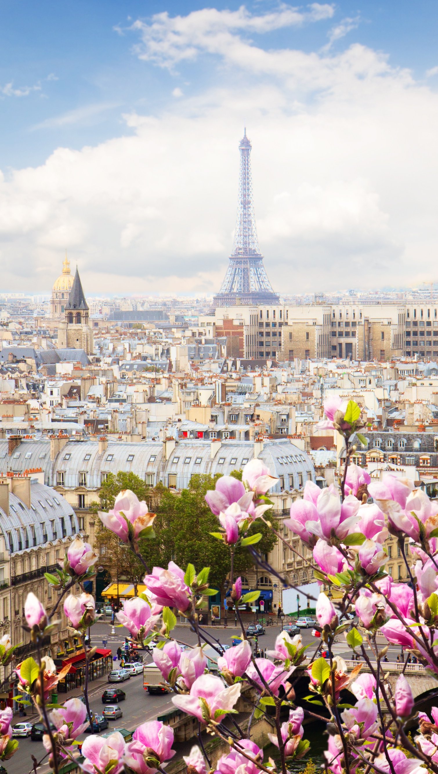 Paisaje de Paris con flores Fondo de pantalla ID:6861