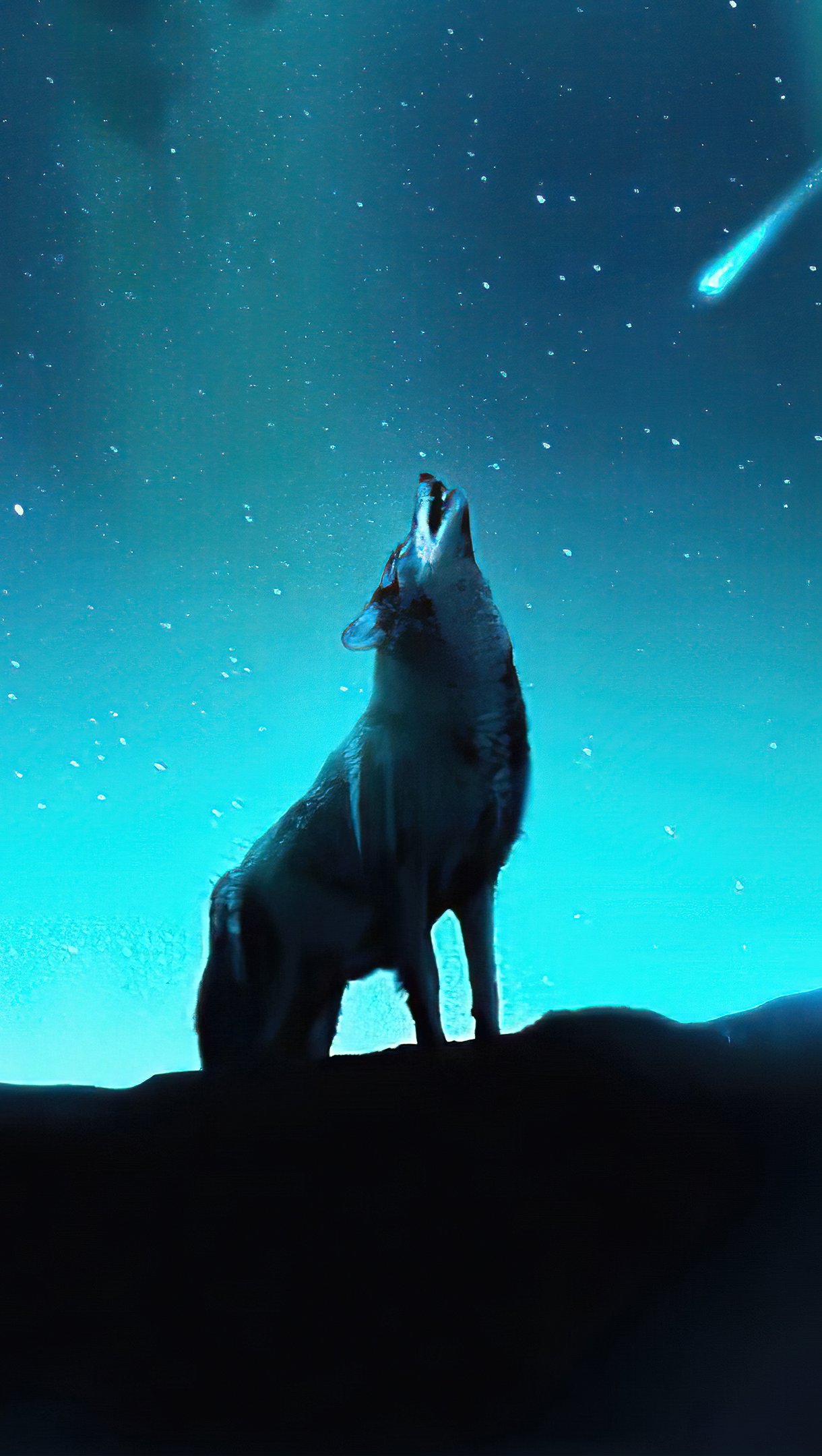 Top 100+ imagen celular fondos de pantalla de lobos 