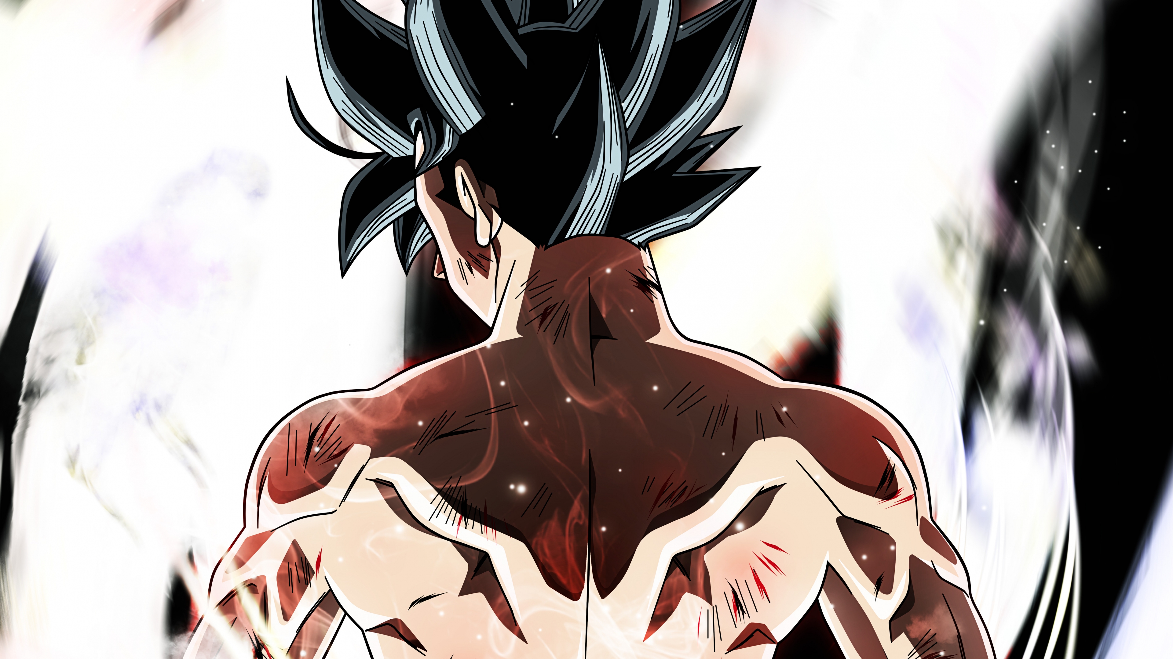 Goku Ultra Instinct Dragon Ball Super Anime Wallpaper ID:3096