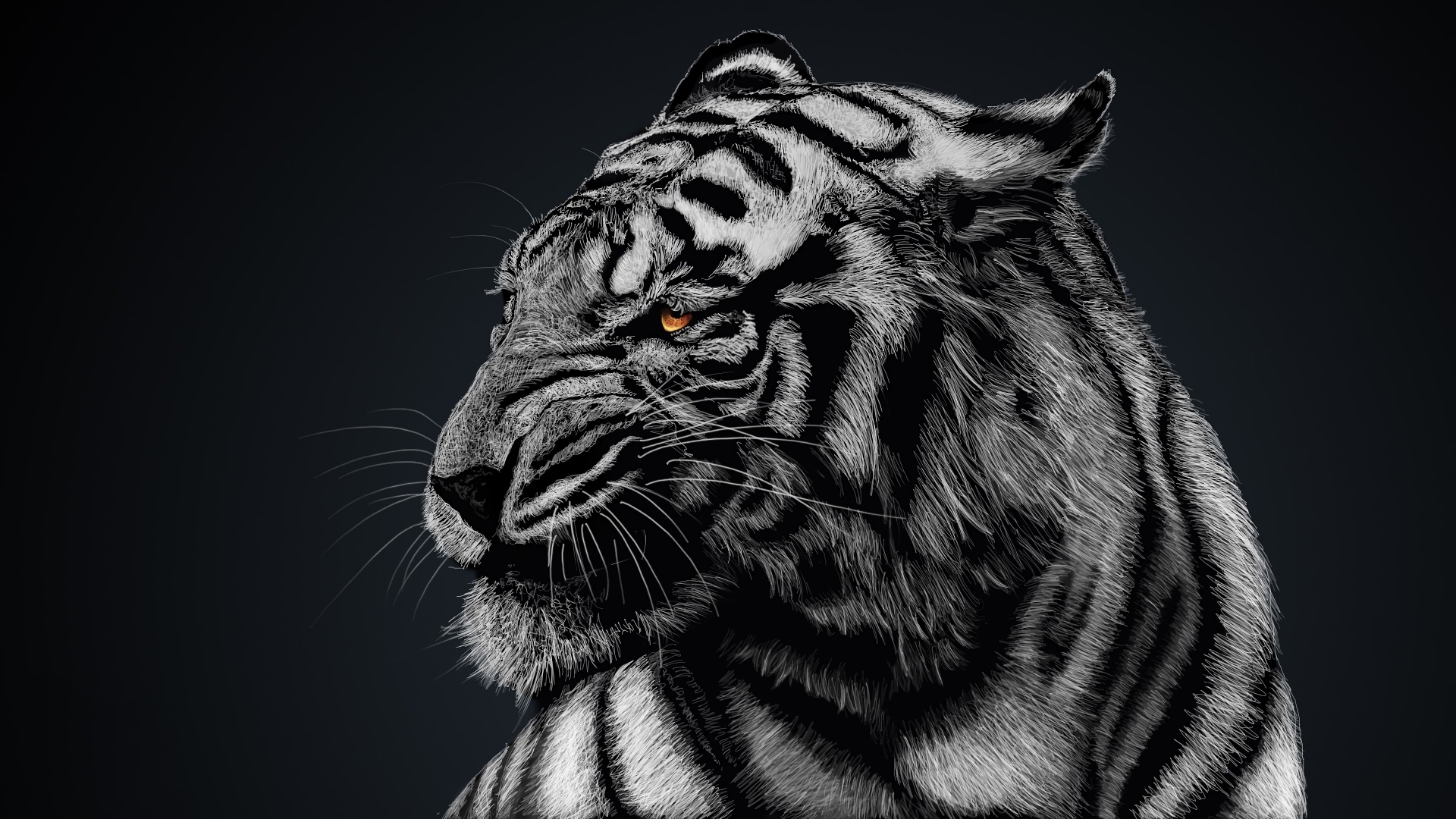 White Tiger Wallpaper 4k Ultra HD ID:3196