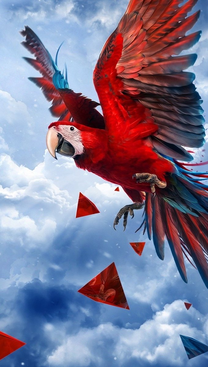 Parrot flying Wallpaper Full HD ID:456