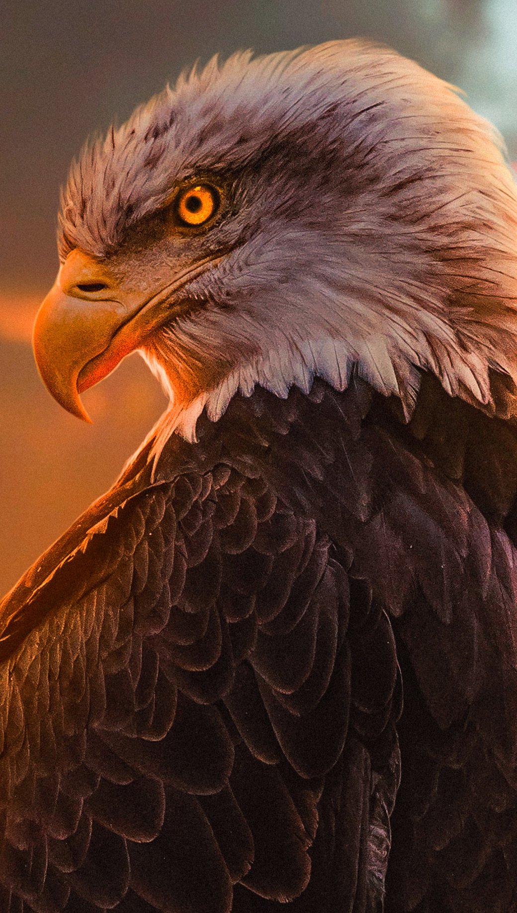 Eagle Wallpaper ID:4852
