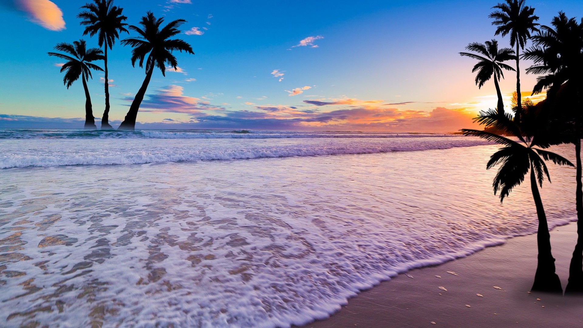 Sunset in the beach with palm trees Wallpaper Full HD ID:6908