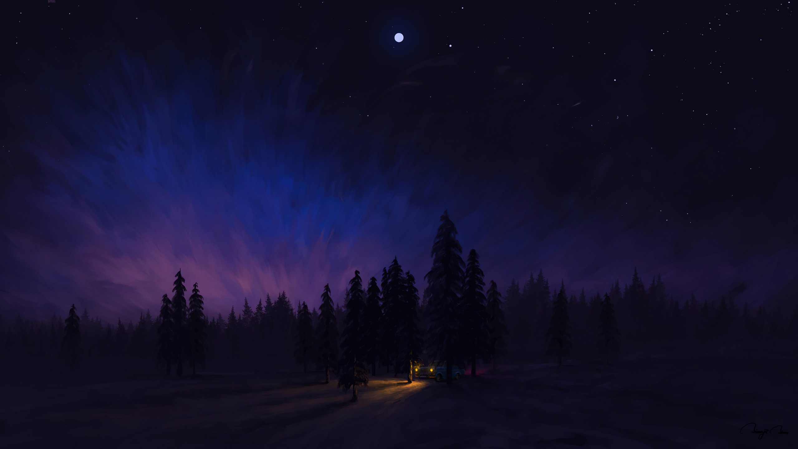 Night scenery in the forest Digital Art Wallpaper 4k Ultra HD ID:7320