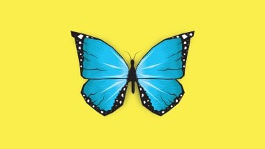 Ilustración de mariposa azul Fondo de pantalla