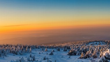 Forest in the winter at sunset Wallpaper