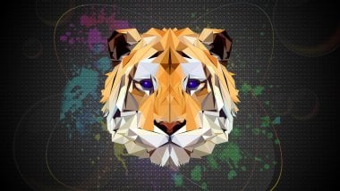 Tiger Abstract Wallpaper
