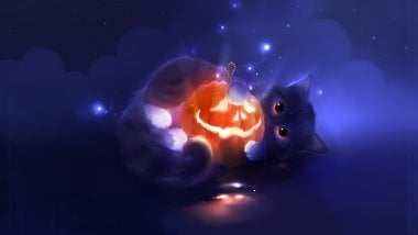 Kitten with pumpking Wallpaper