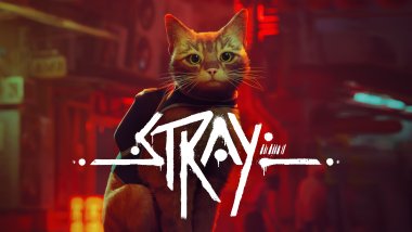 Stray Game Cover Wallpaper