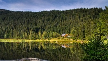 House in the middle of forest next to lake Wallpaper