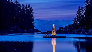 Christmas tree in Alaska Wallpaper