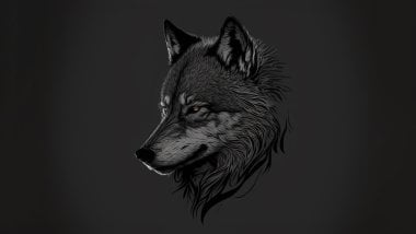 Wolf\'s head Wallpaper