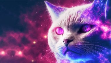 Ilustración de gato con galaxia Fondo de pantalla