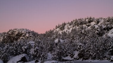 Bosque cubierto en nieve Fondo de pantalla