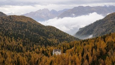 Castle in the middle of mountains and forest Wallpaper