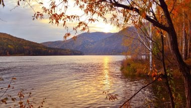 Lago en bosque durante otoño Fondo de pantalla