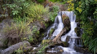 Waterfall in the forest Wallpaper