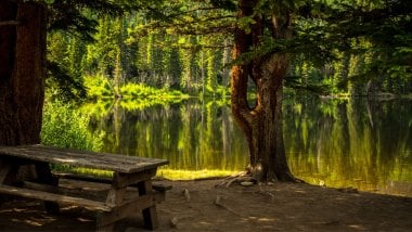 Lake in the forest during the day Wallpaper