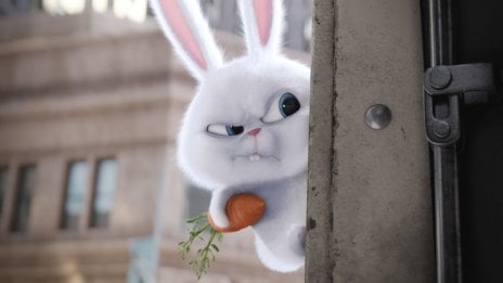 Snowball de La vida secreta de tus mascotas Fondo de pantalla