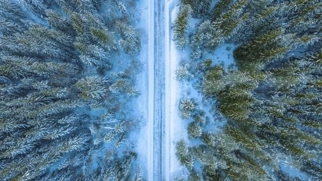 Aerial view of forest in winter Wallpaper