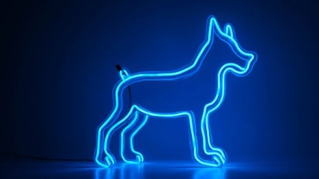 Light Wallpaper ID:13172