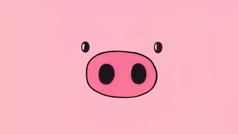 Pig face Wallpaper
