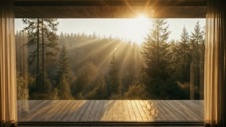 View of the forest from a luxurious cabin at sunset Wallpaper