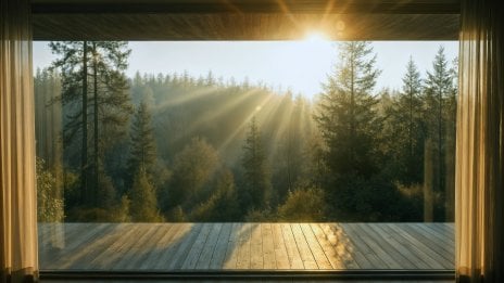 Amanecer Fondo ID:13516