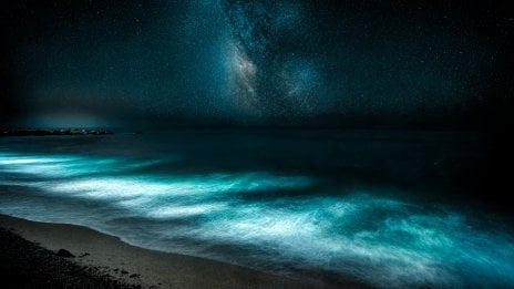 Playa nocturna con olas bioluminiscentes y cielo estrellado Fondo de pantalla