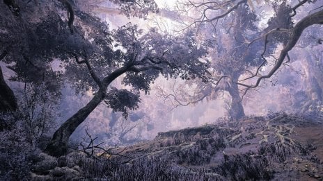 Forest with violet and lavender-colored vegetation - Ruins of Wyveria in Monster Hunter Wilds Wallpaper
