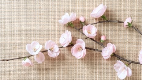 Floral Composition on Woven Grasscloth - Japanese Aesthetic Wallpaper