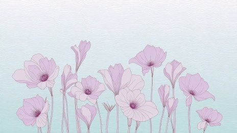 Ilustración floral minimalista - Aesthetic Fondo de pantalla