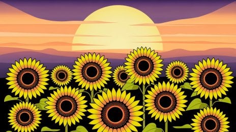 Campo de girasoles al atardecer - ilustración Fondo de pantalla