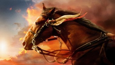 Pintura de un caballo Fondo de pantalla