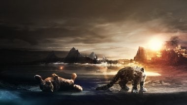 Leopards in an apocalyptic world Wallpaper