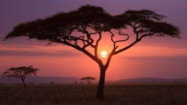 Sunset in Africa Wallpaper