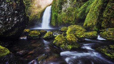 Moss in a waterfall Wallpaper