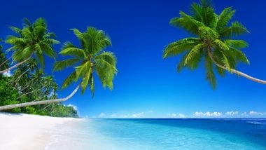 Playa tropical Fondo de pantalla