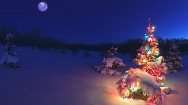 Christmas tree with lights at the North Pole Wallpaper