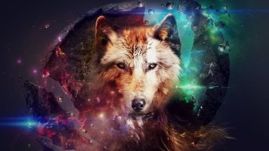 Wolf with colored lights Wallpaper