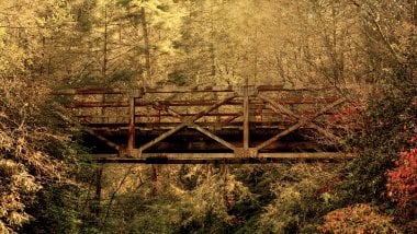 Puente en bosque de otoño Fondo de pantalla