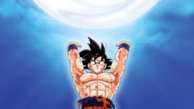 Goku Wallpaper ID:3047