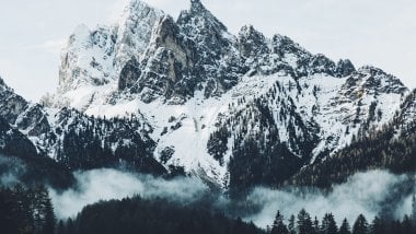 Montañas nevadas con bosque Fondo de pantalla