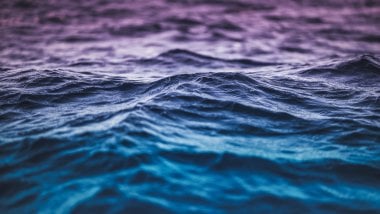 Blue and purple gradient waves Wallpaper