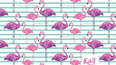 Kiut Flamingo pattern Wallpaper