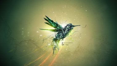 Un ave verde en vuelo Fondo de pantalla