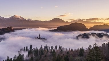 Forest and mountains within fog Wallpaper